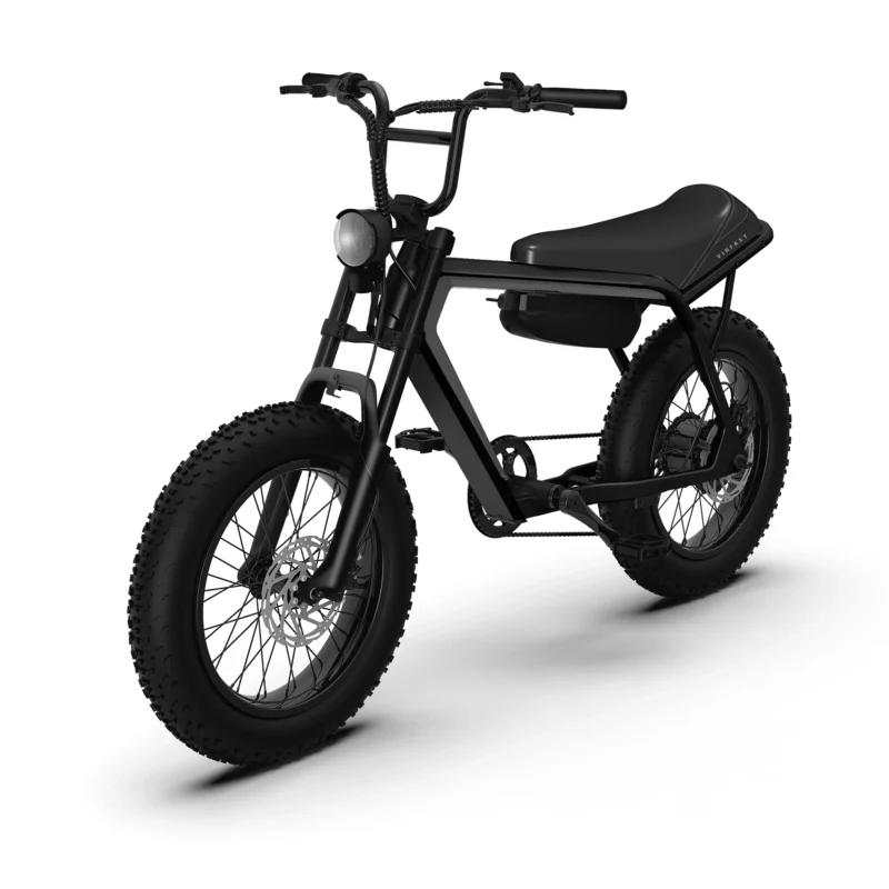 Xe đạp điện Vinfast DragonFly màu đen phong cách cá tính cho học sinh